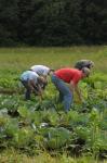 Local youth serving local needs