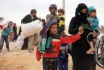 Refugees, migration a front-burner topic throughout 2016
