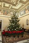 Nativity scene, Christmas tree are visible signs of God's compassion
