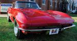 St. Bernard Corvette 